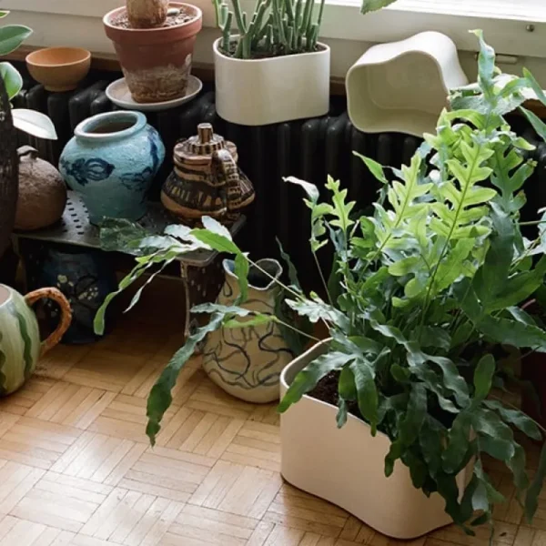 Artek Riihitie blomkruka B, liten, vitglansig