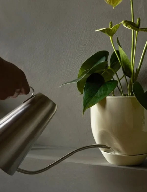 Audo Copenhagen Hydrous blomkruka, 20 cm, askgrå