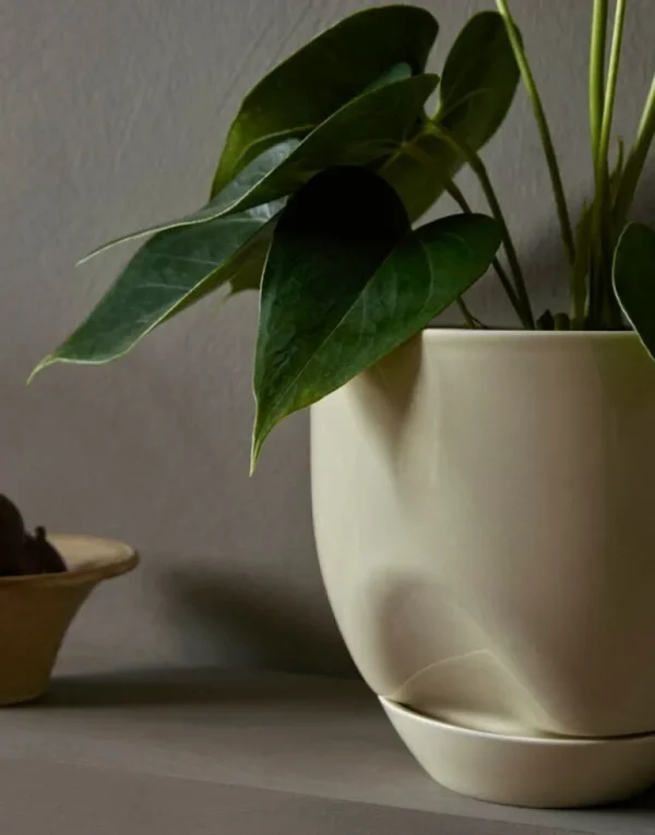 Audo Copenhagen Hydrous blomkruka, 20 cm, askgrå