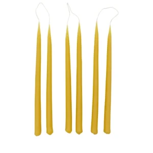 Collaboratorio Candela ljus, 31 cm, 6 st, honung