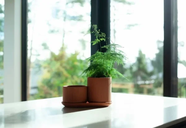 Elementa Kruka, medium, terrakotta