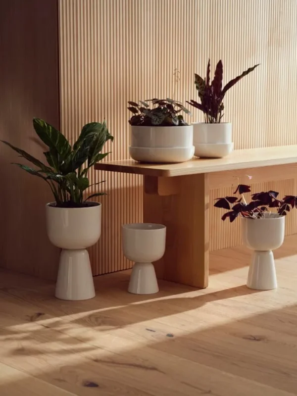 Iittala Nappula blomkruka med fat, 240 x 130 mm, vit