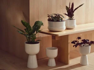 Iittala Nappula blomkruka med fat, 240 x 130 mm, vit