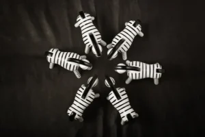 Barn Kay Bojesen Denmark Zebra