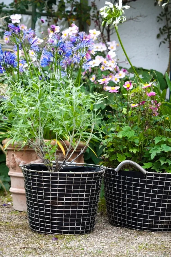 Korbo Wire bucket 24 trådkorg, galvaniserad