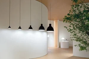 Louis Poulsen Toldbod 250 pendellampa, svart