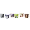 Moomin Arabia Mumin minimuggar, 6-pack, 2:a classics
