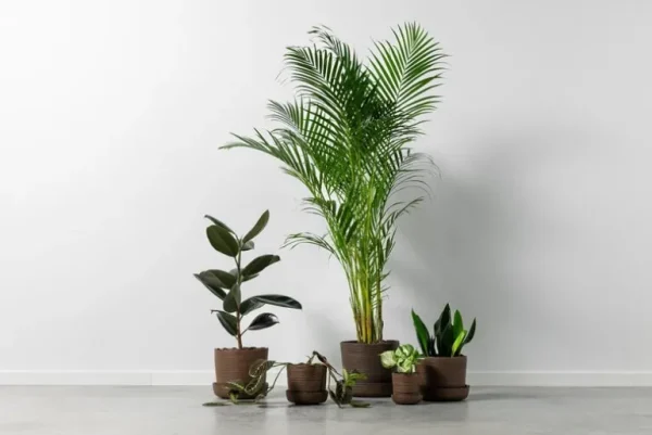 Vaidava Ceramics Soil kruka med fat, XXL, brun
