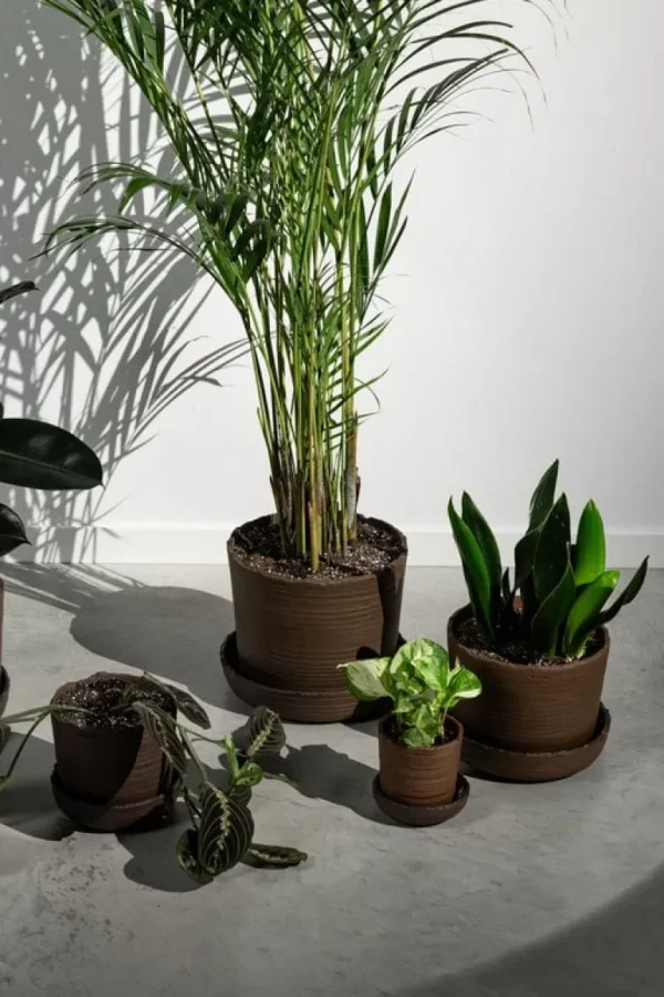 Vaidava Ceramics Soil kruka med fat; S, brun