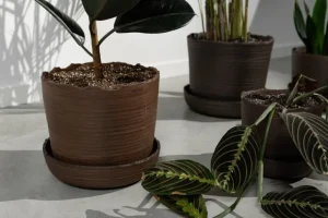 Vaidava Ceramics Soil kruka med fat, XXL, brun